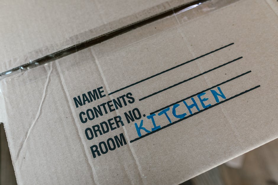A man with dark curly hair and a beard, dressed in a navy blue t-shirt and matching trousers, is inside a bright, minimally furnished room with large arched windows allowing natural light to fill the space. He is holding a cardboard box wrapped with red tape in his right hand, about to place it on top of another similar box on the wooden floor. The boxes are made of brown corrugated cardboard, and the room features light-colored wooden flooring and plain white walls. In the background, an open doorway and the windows are visible, indicating an ongoing home relocation process. The scene depicts the packing and loading stage typical of professional removals, with the man preparing boxes for transport, possibly as part of a furniture transport or packing and moving service offered by Man and a Van Islington.